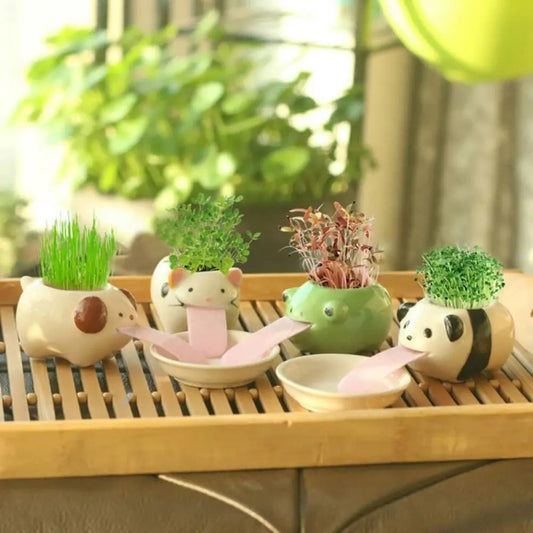 Cute Pig Frog Cat Bear Panda Ceramic Flower Pot Hydroponic Vase Mini Succulent Flowerpot Bonsai Cactus Ornament Home Garden Pots