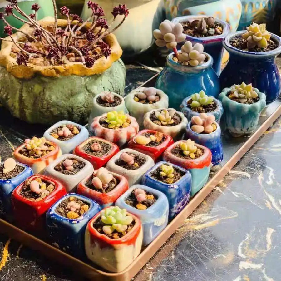 1Pcs Mini Thumb Flower Pot Super cute Small Succulent Plant Flower Pot Home Garden Mini Bonsai Planting Random color and shape