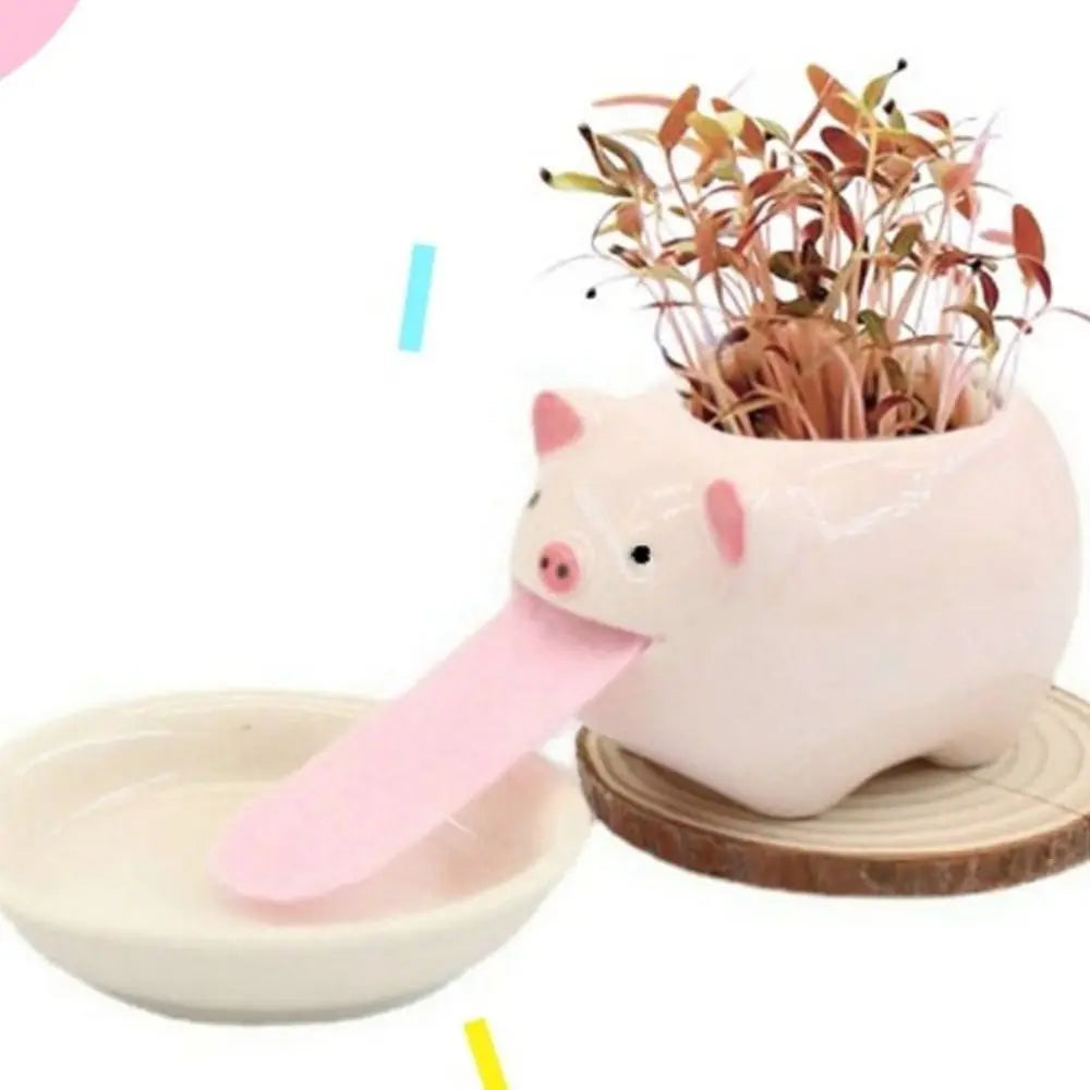 Cute Pig Frog Cat Bear Panda Ceramic Flower Pot Hydroponic Vase Mini Succulent Flowerpot Bonsai Cactus Ornament Home Garden Pots